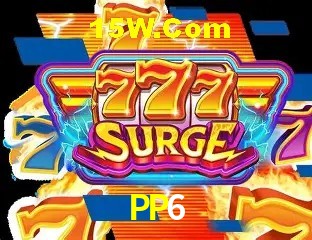 PP6 - Customer Support